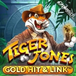 Gold Hit & Link: Tiger Jones